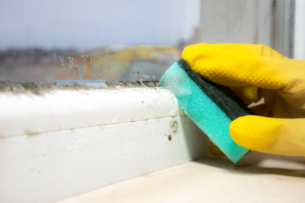Mystic Island, NJ Mold Remediation Company